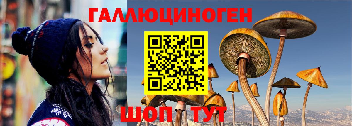 Псилоцибиновые грибы мицелий Владивосток